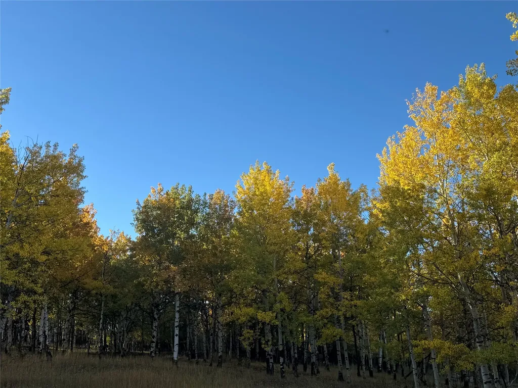 1370 Sunnyside Road Anaconda MT 59711