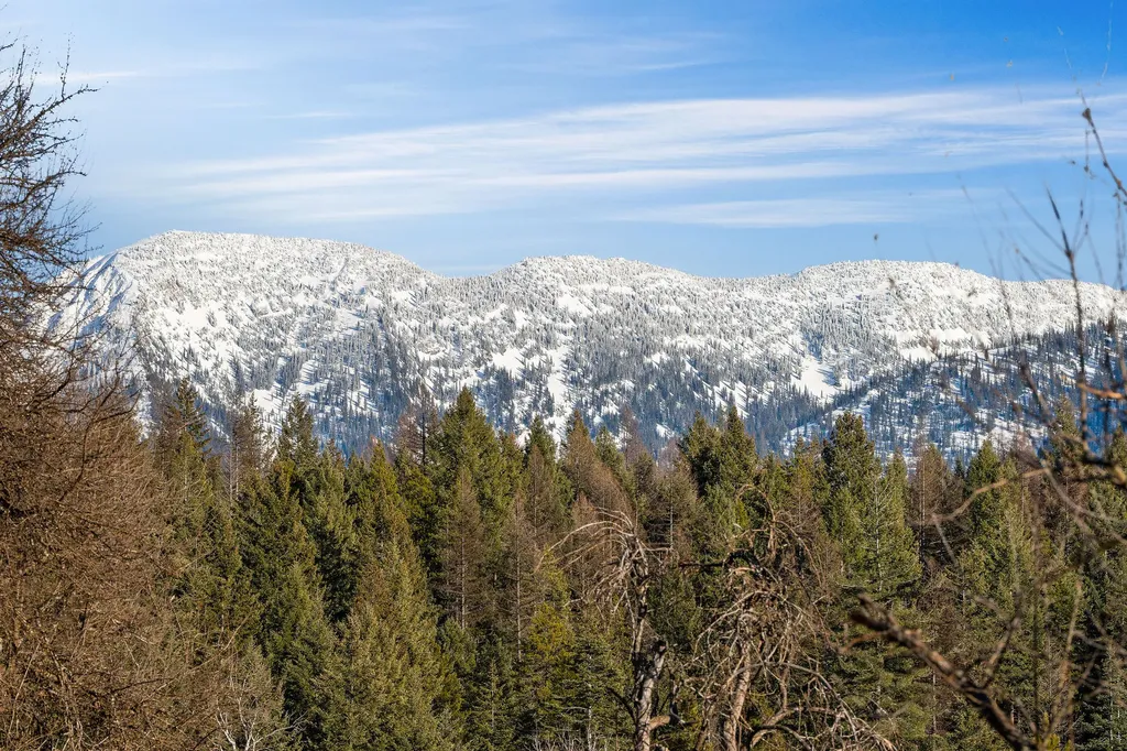 203 Muth Lane Kalispell MT 59901