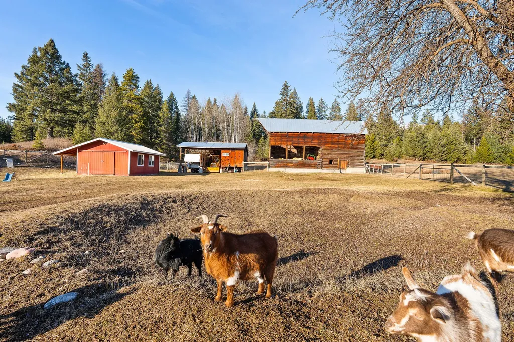 203 Muth Lane Kalispell MT 59901