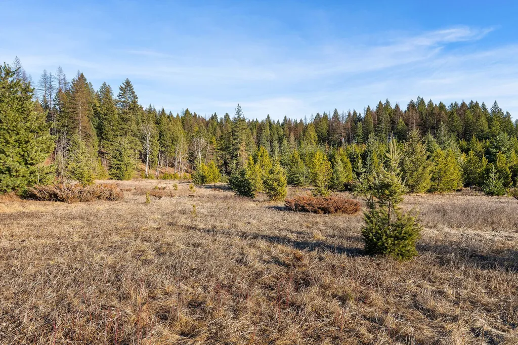 203 Muth Lane Kalispell MT 59901