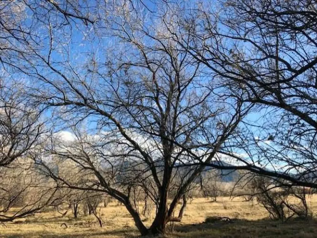 0 Carney Lane Whitehall MT 59759