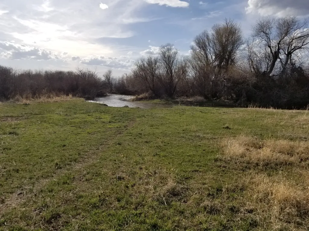 Nhn Baker Street White Sulphur Springs MT 59645