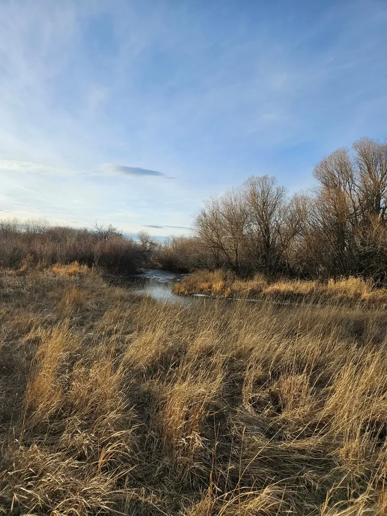 Nhn Baker Street White Sulphur Springs MT 59645