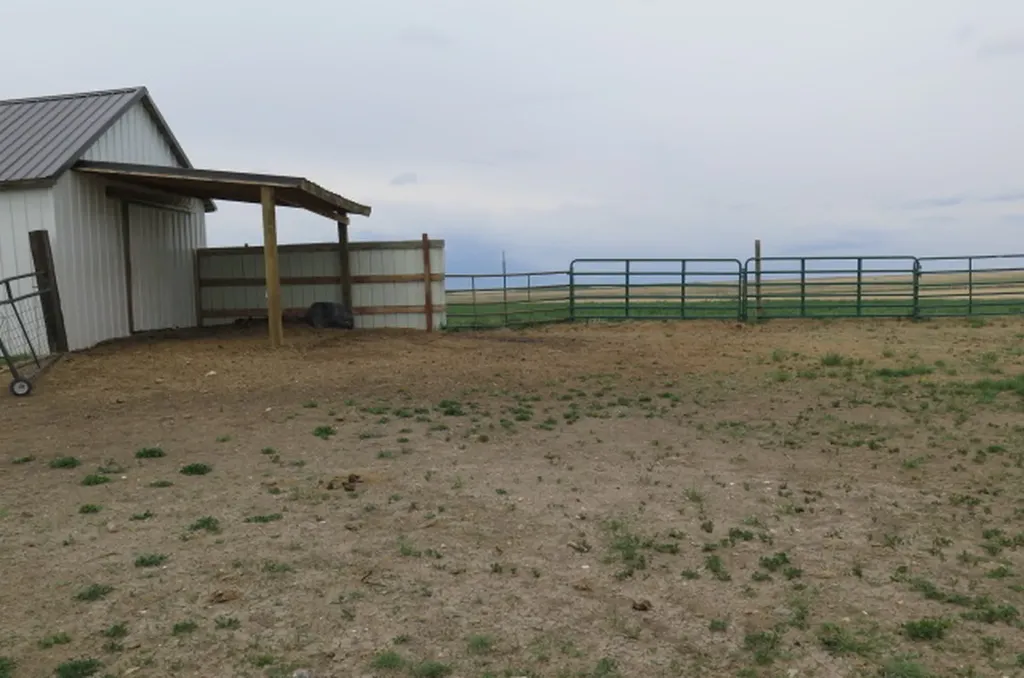 841 22nd Road NE Dutton MT 59433