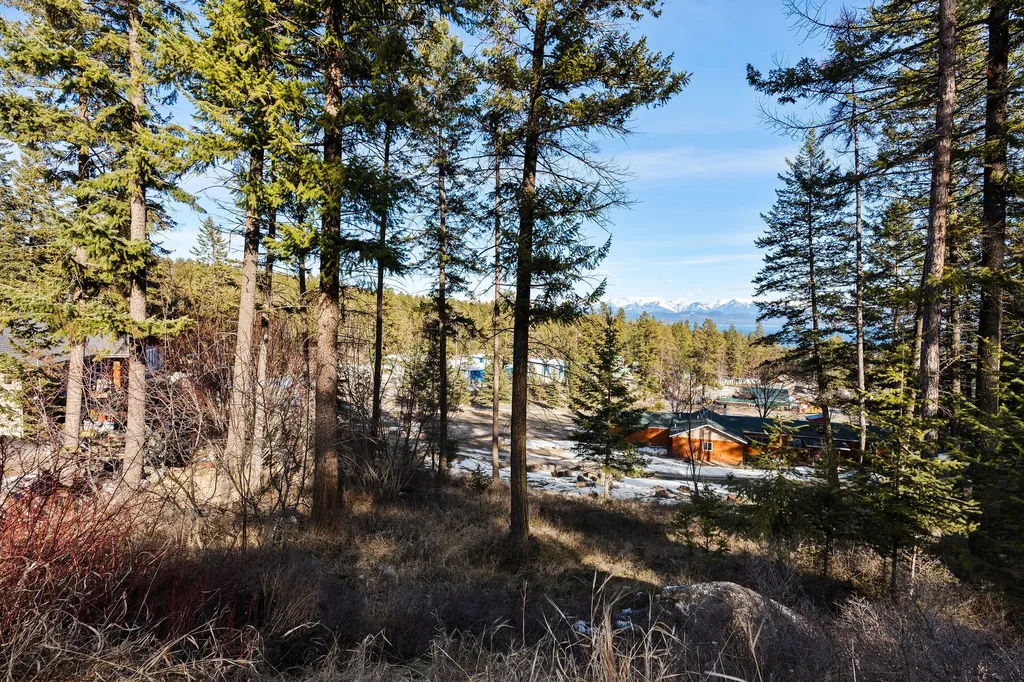 393 Skookum Road Lakeside MT 59922