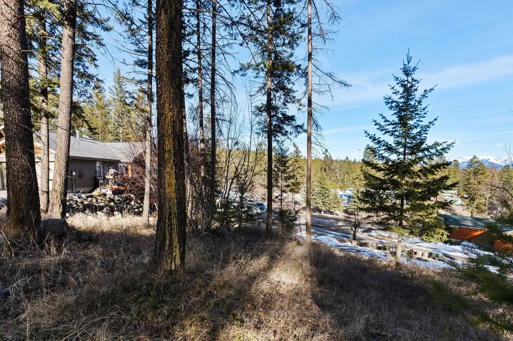 393 Skookum Road Lakeside MT 59922