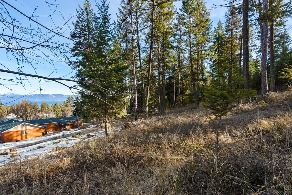 393 Skookum Road Lakeside MT 59922