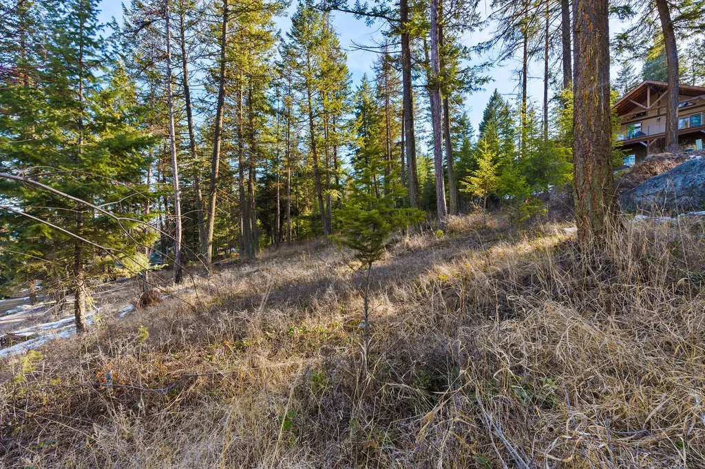 393 Skookum Road Lakeside MT 59922