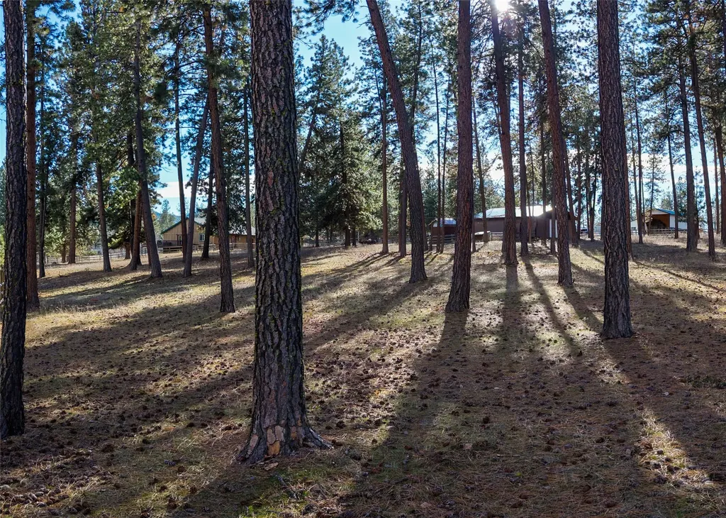 17718 Cougars Den Lane Frenchtown MT 59834