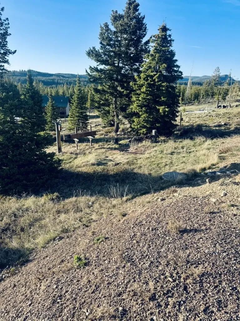 112 Lodgepole Lane E Anaconda MT 59711