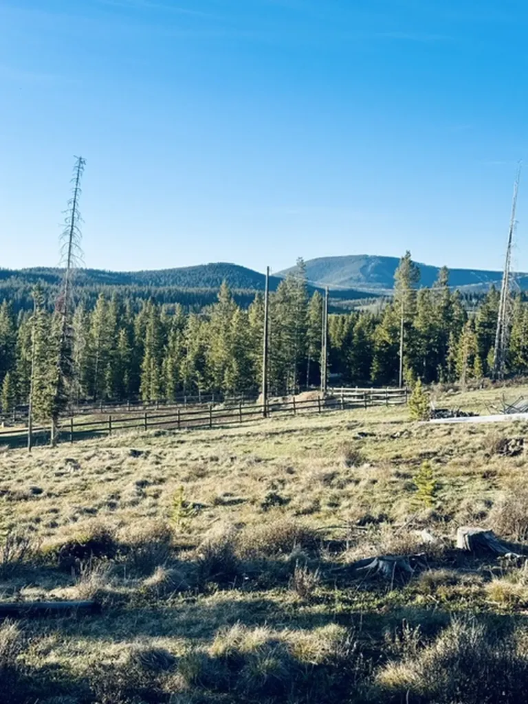 112 Lodgepole Lane E Anaconda MT 59711
