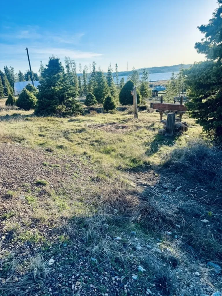 112 Lodgepole Lane E Anaconda MT 59711
