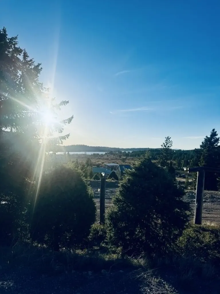 112 Lodgepole Lane E Anaconda MT 59711
