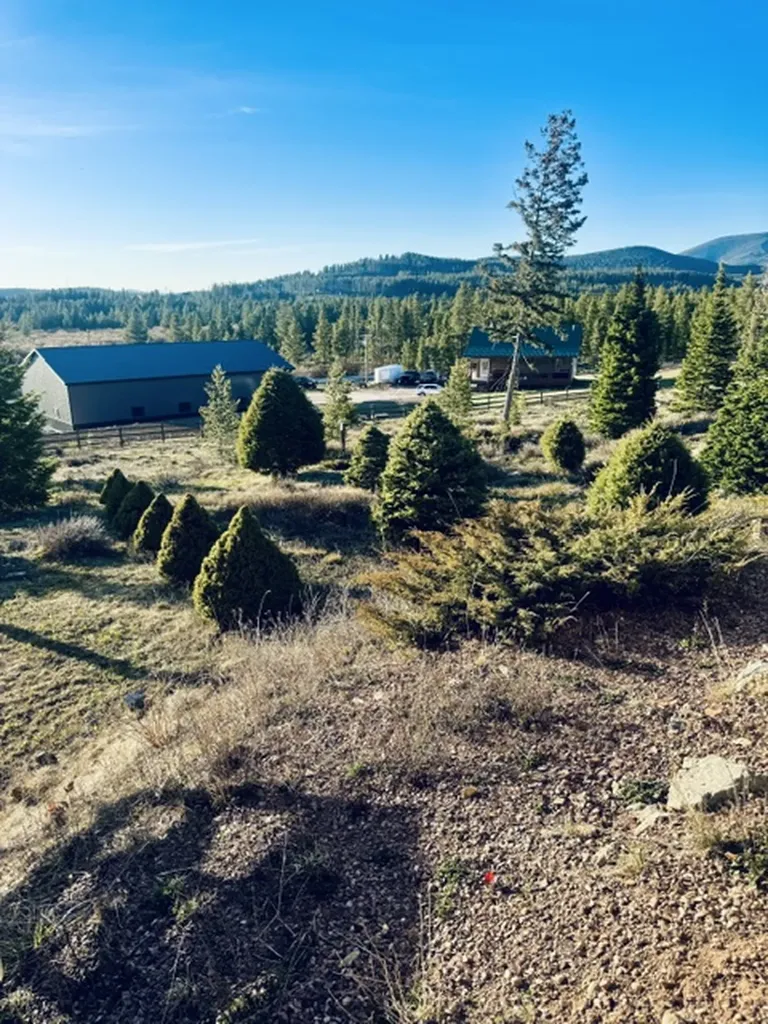 112 Lodgepole Lane E Anaconda MT 59711
