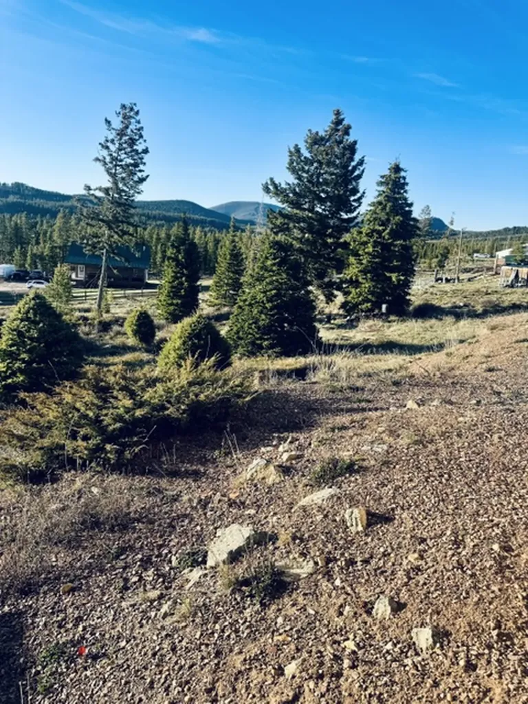 112 Lodgepole Lane E Anaconda MT 59711