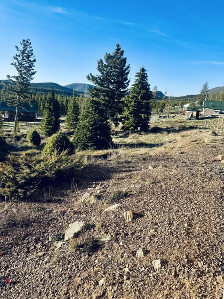 112 Lodgepole Lane E Anaconda MT 59711