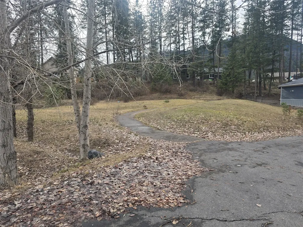 222 Osprey Drive Superior MT 59872