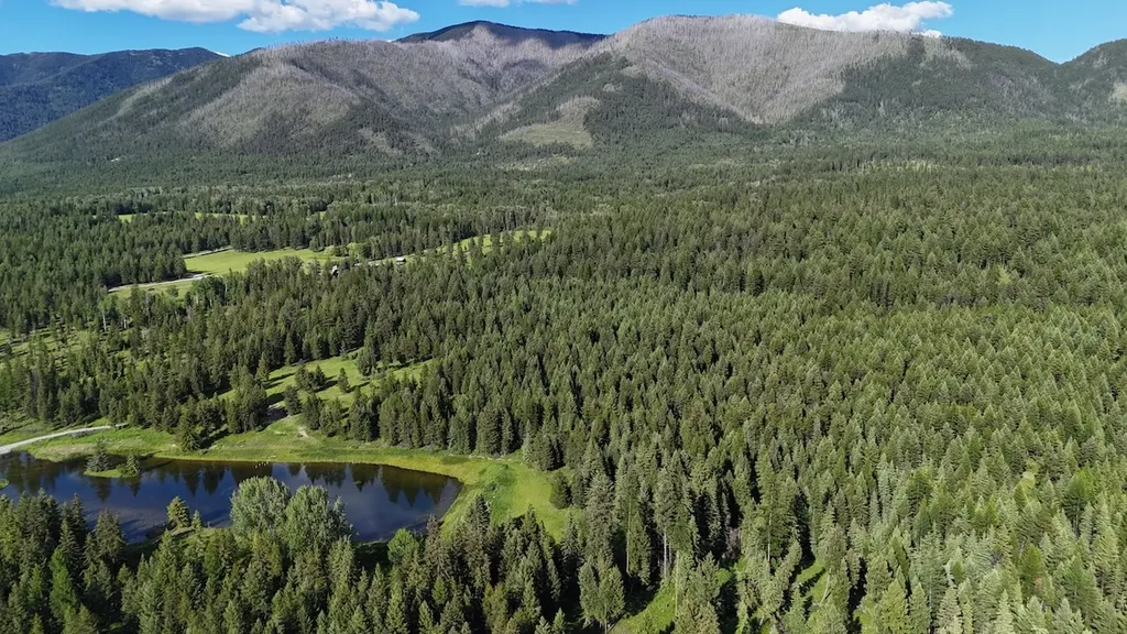 295 Burks Bottom Road Eureka MT 59917