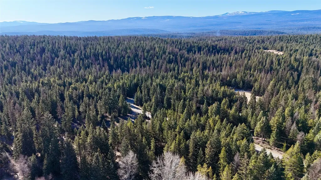 295 Burks Bottom Road Eureka MT 59917