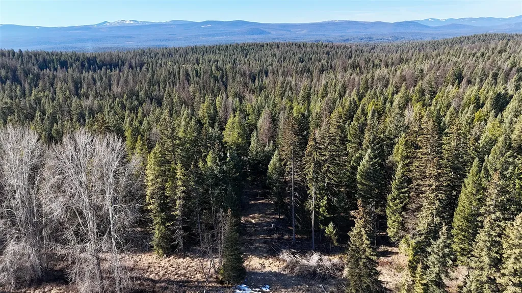 295 Burks Bottom Road Eureka MT 59917