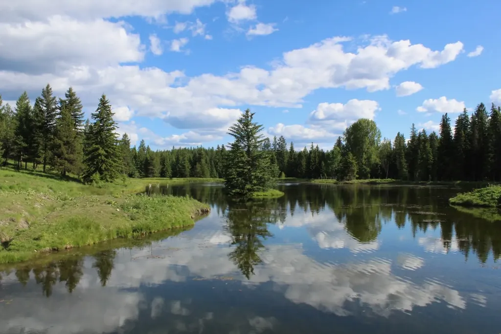 295 Burks Bottom Road Eureka MT 59917