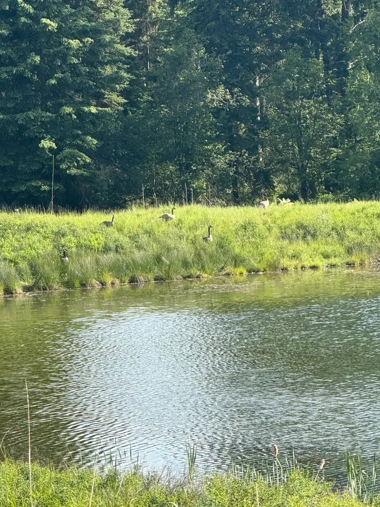 295 Burks Bottom Road Eureka MT 59917