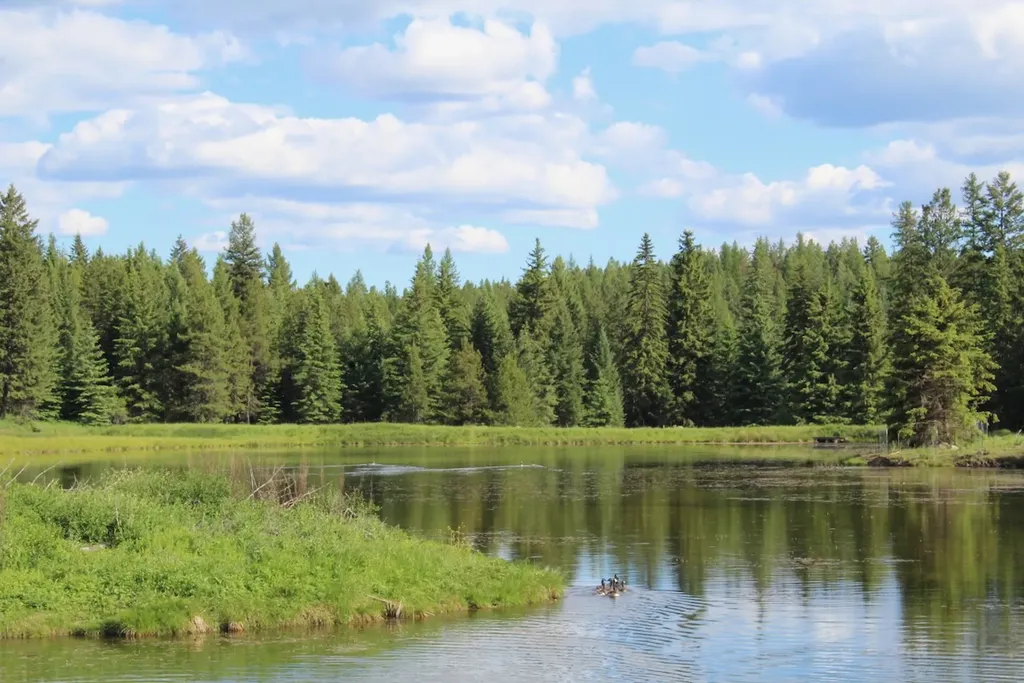 295 Burks Bottom Road Eureka MT 59917