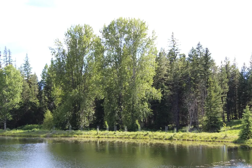 295 Burks Bottom Road Eureka MT 59917