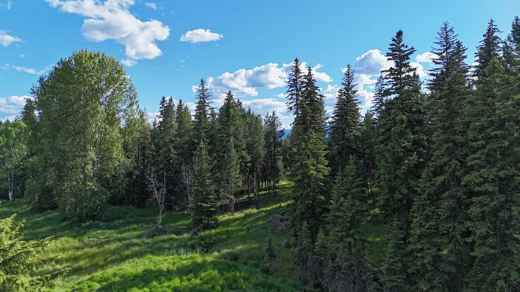 295 Burks Bottom Road Eureka MT 59917