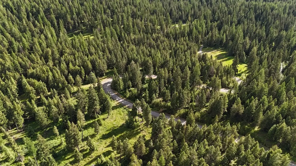 295 Burks Bottom Road Eureka MT 59917