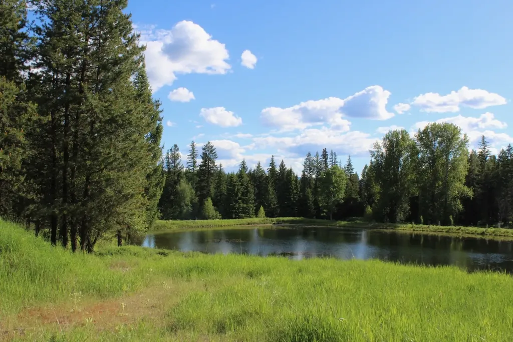 295 Burks Bottom Road Eureka MT 59917