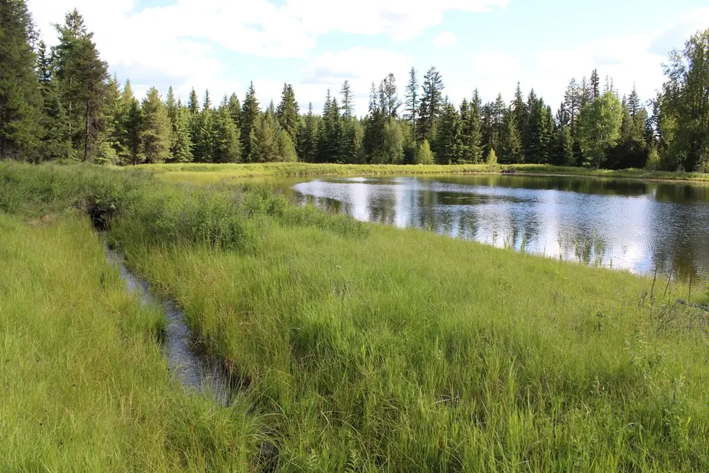 295 Burks Bottom Road Eureka MT 59917
