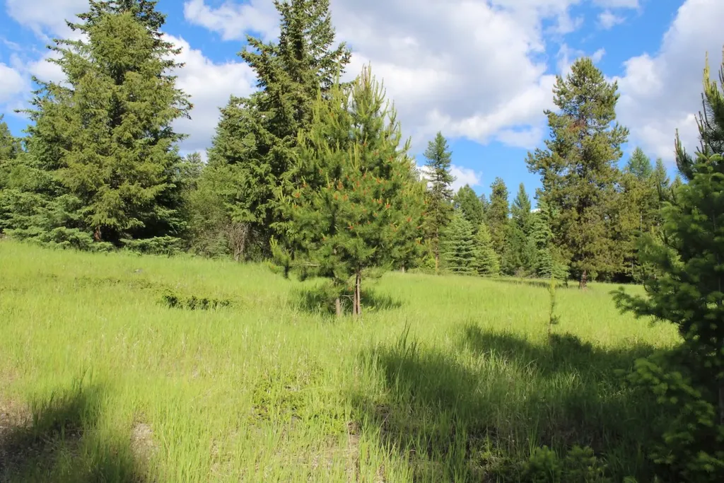 295 Burks Bottom Road Eureka MT 59917