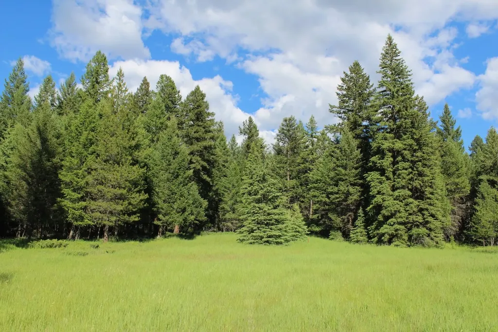295 Burks Bottom Road Eureka MT 59917