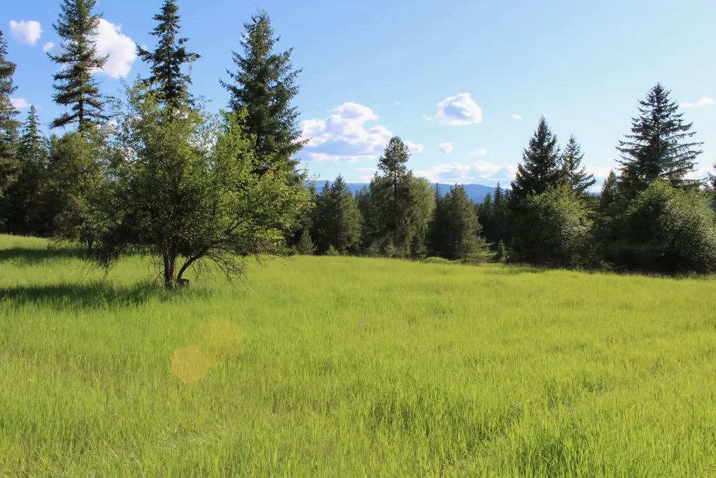 295 Burks Bottom Road Eureka MT 59917