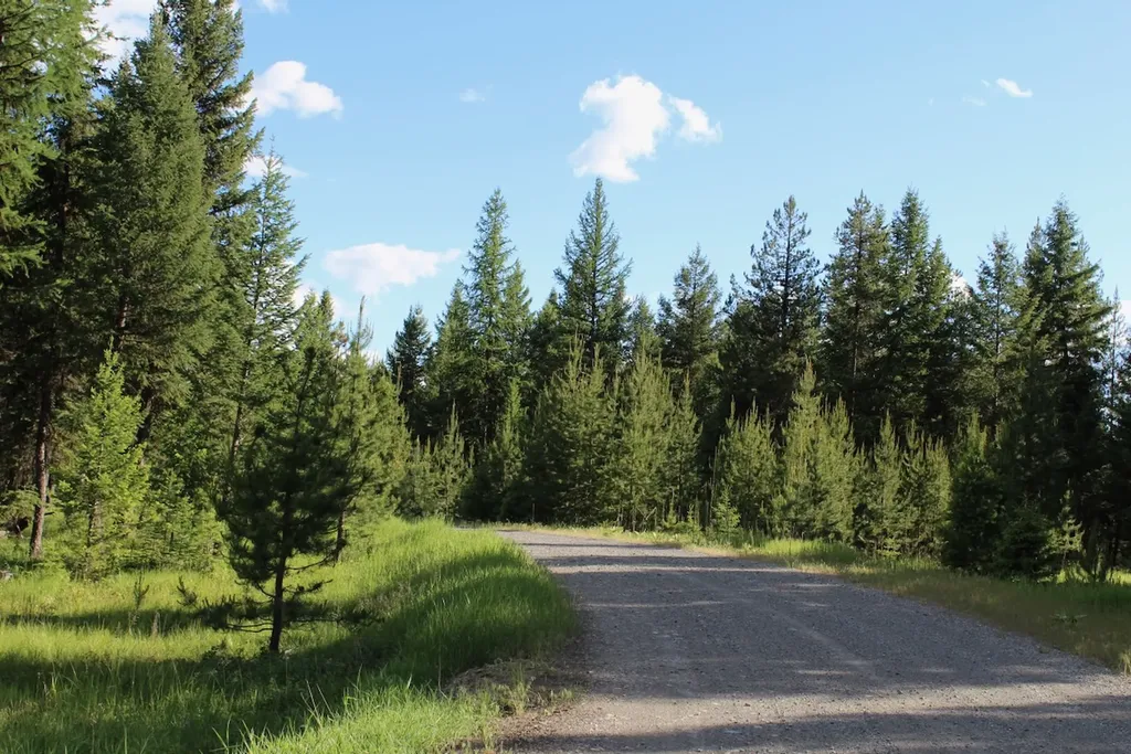 295 Burks Bottom Road Eureka MT 59917