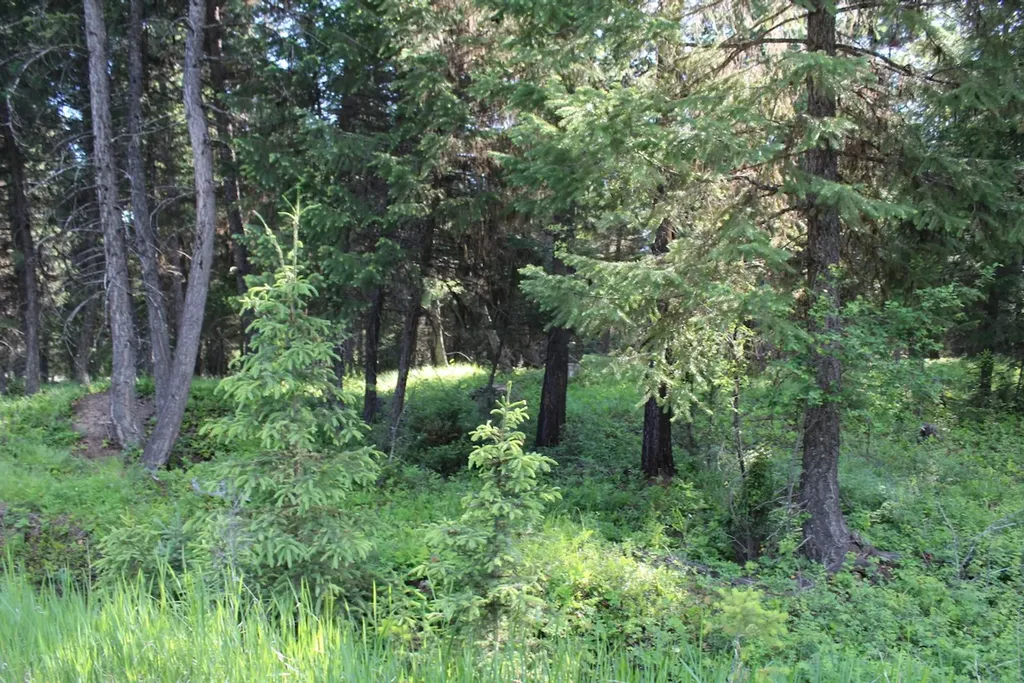 295 Burks Bottom Road Eureka MT 59917