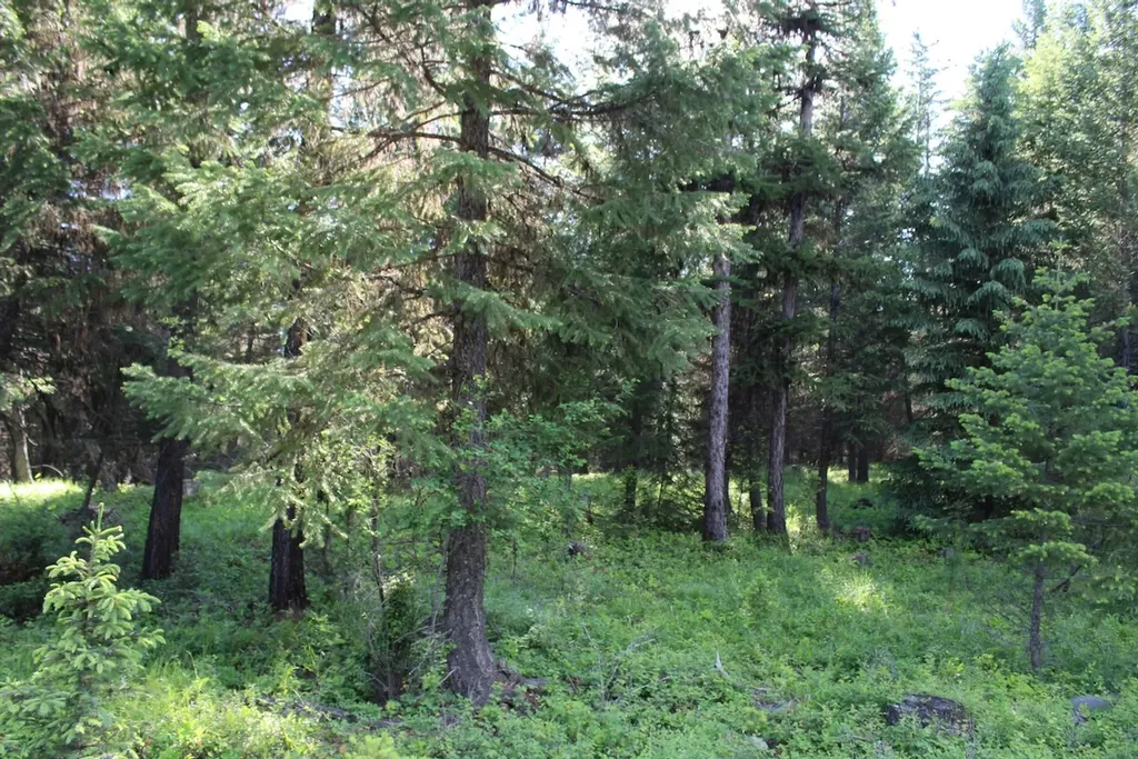 295 Burks Bottom Road Eureka MT 59917