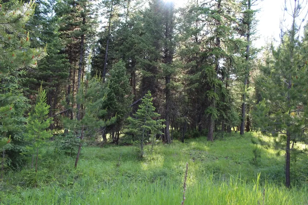 295 Burks Bottom Road Eureka MT 59917