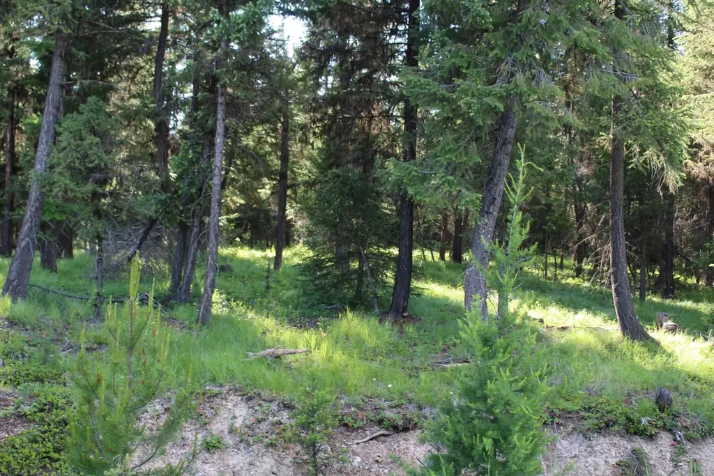 295 Burks Bottom Road Eureka MT 59917