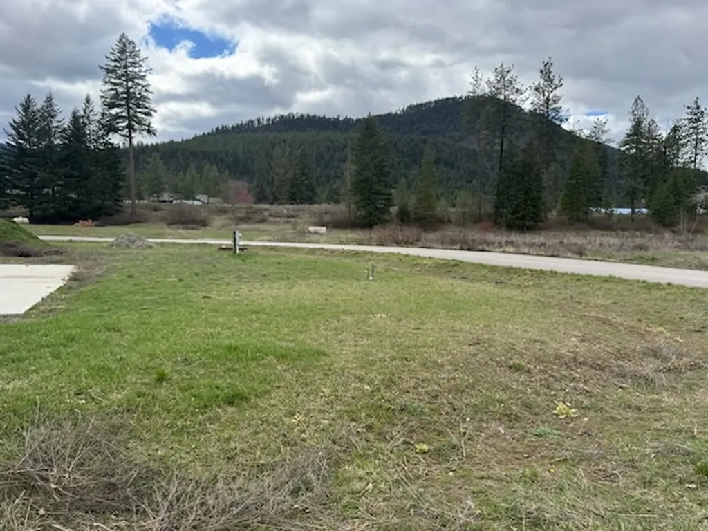 115 Osprey Drive Superior MT 59872
