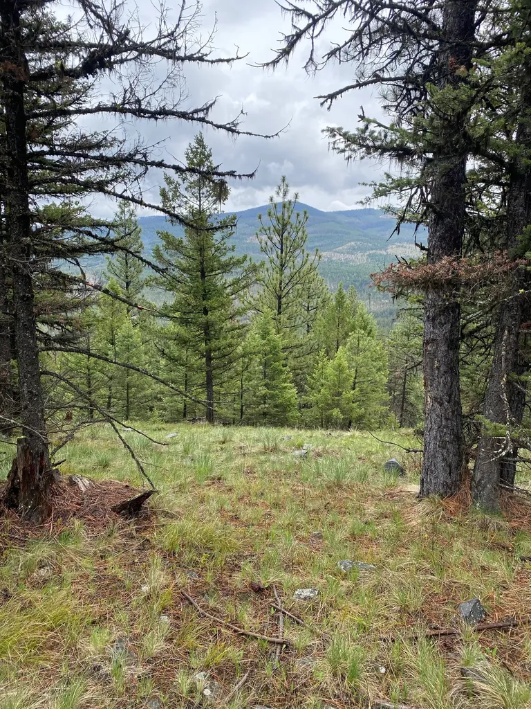 1444 Haskill Ranch Road Kila MT 59920