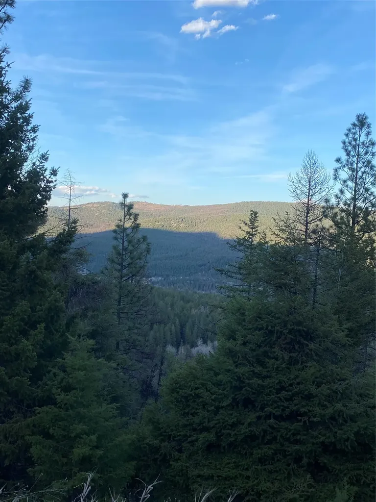1444 Haskill Ranch Road Kila MT 59920