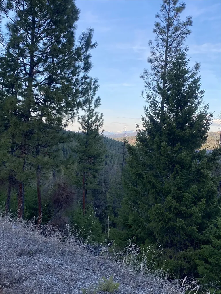 1444 Haskill Ranch Road Kila MT 59920