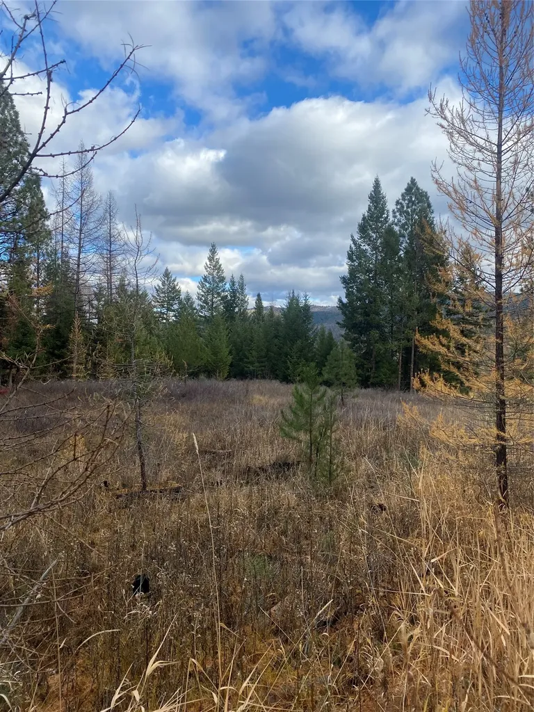 1444 Haskill Ranch Road Kila MT 59920