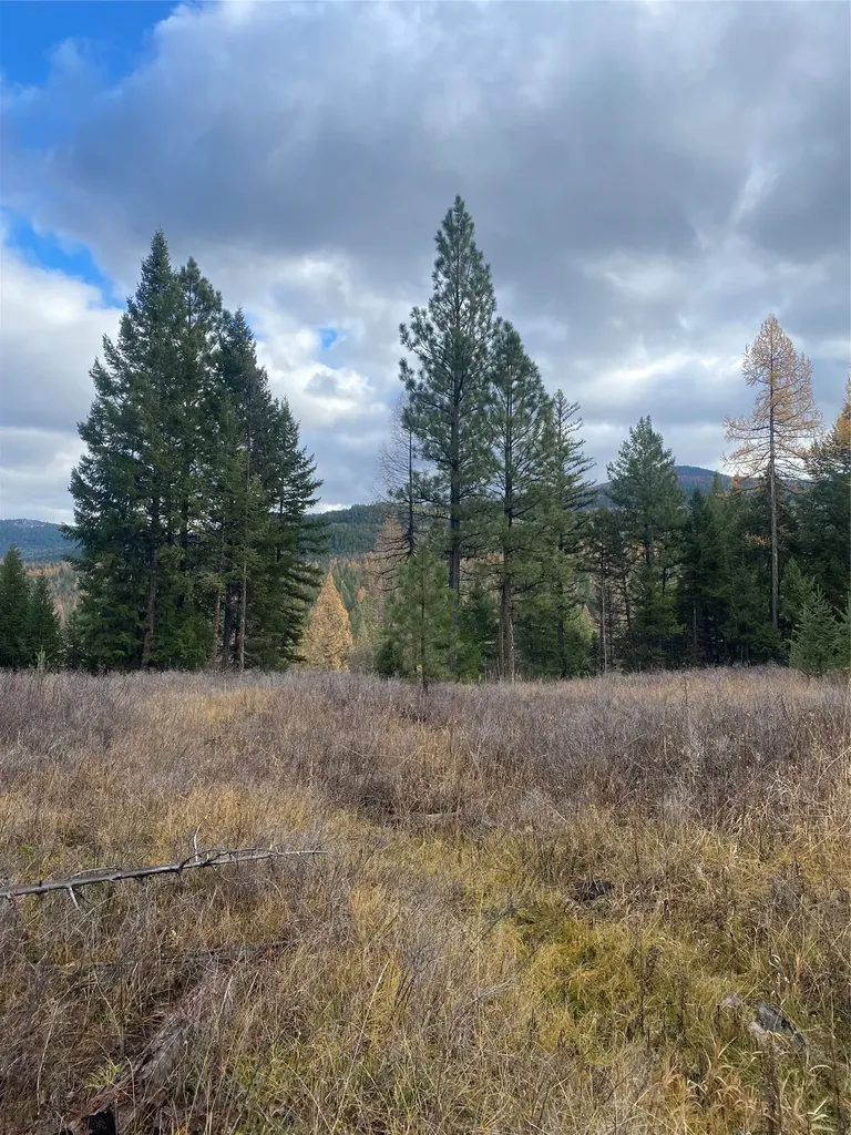 1444 Haskill Ranch Road Kila MT 59920