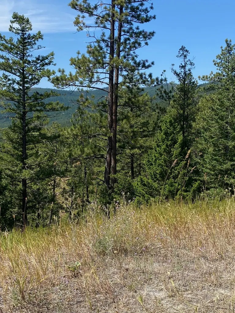 1444 Haskill Ranch Road Kila MT 59920