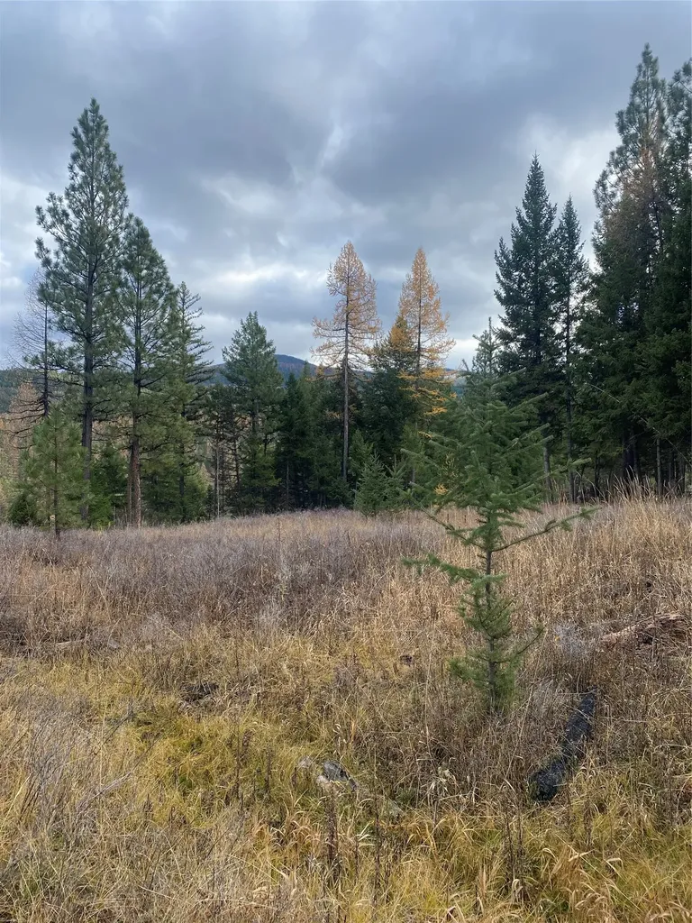 1444 Haskill Ranch Road Kila MT 59920