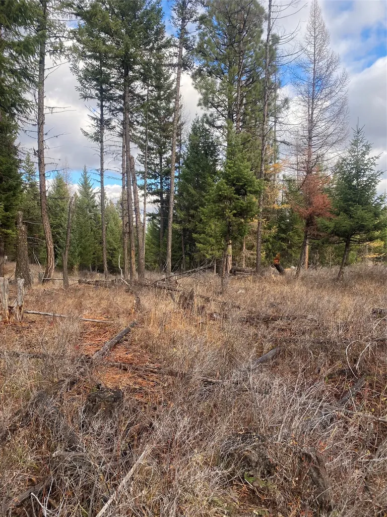 1444 Haskill Ranch Road Kila MT 59920