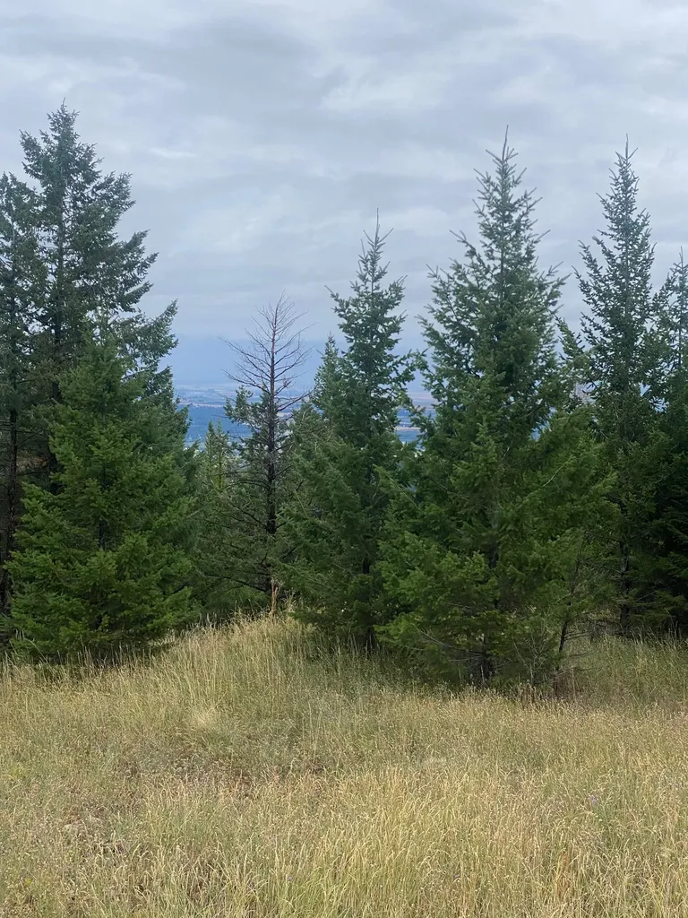 1444 Haskill Ranch Road Kila MT 59920